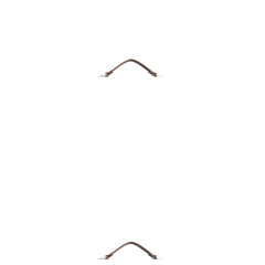 Buckled Backpack Bag