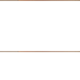 Diamante Flower And Pearl Necklace