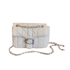 Metal Embellished Cross Body Bag