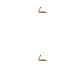 Ankle Wrap Diamante Wedged Heel Sandals