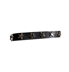Star Detailed Choker