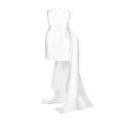 Tube Mini Evening Dress Gown