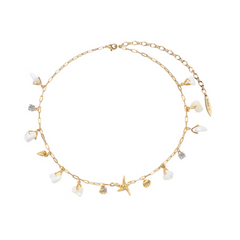 Star And Shell Necklace