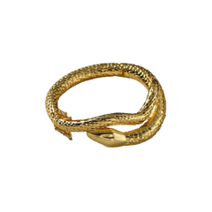 Snake Bracelet