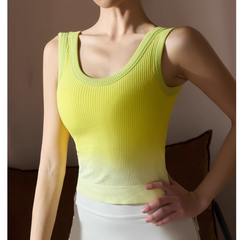Yoga Pilates Gradient Color Fitted Sports Bra