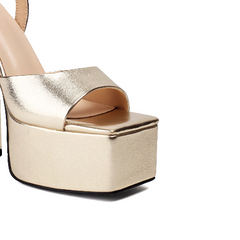 Ankle Strap Block Heel Platform Sandals