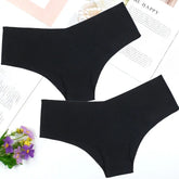 2Pcs/Pack V Waist Women Ice Silk Seamless Briefs Comfortable Stretchy Underwear