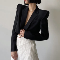 Lapel Long Sleeves Blazer