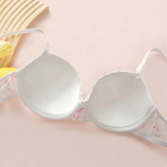 Women Push Up Underwire Bra