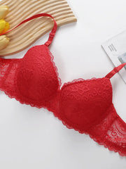 Women's sexy embroidered lace lingerie