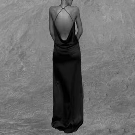 Backless Maxi Dress