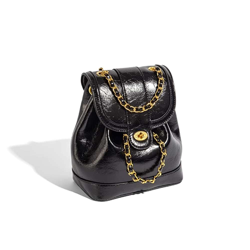 Metal Lock Backpack Bag