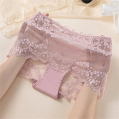 Full Transparent High Waist Hollow Out Lace Underwear