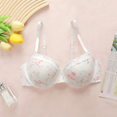 Women Push Up Underwire Bra